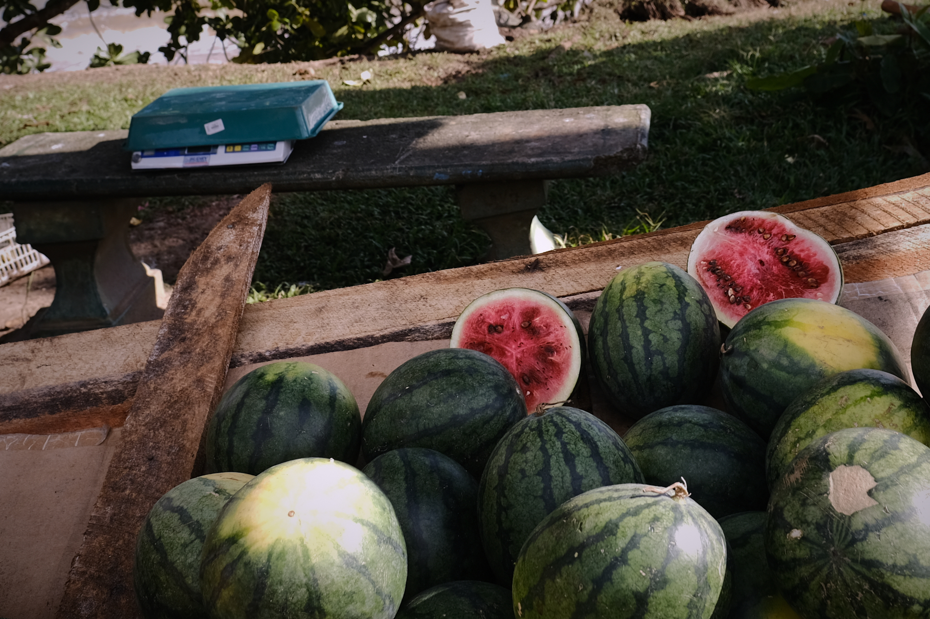 Sri Lanka, Weligama, 2021-10-02. A watermelon rack near the beach. Photograph by Noemie de Bellaigue / Hans Lucas. 
Sri Lanka, Weligama, 2021-10-02. Un etale de pasteques pres de la plage. Photographie par Noemie de Bellaigue / Hans Lucas.
